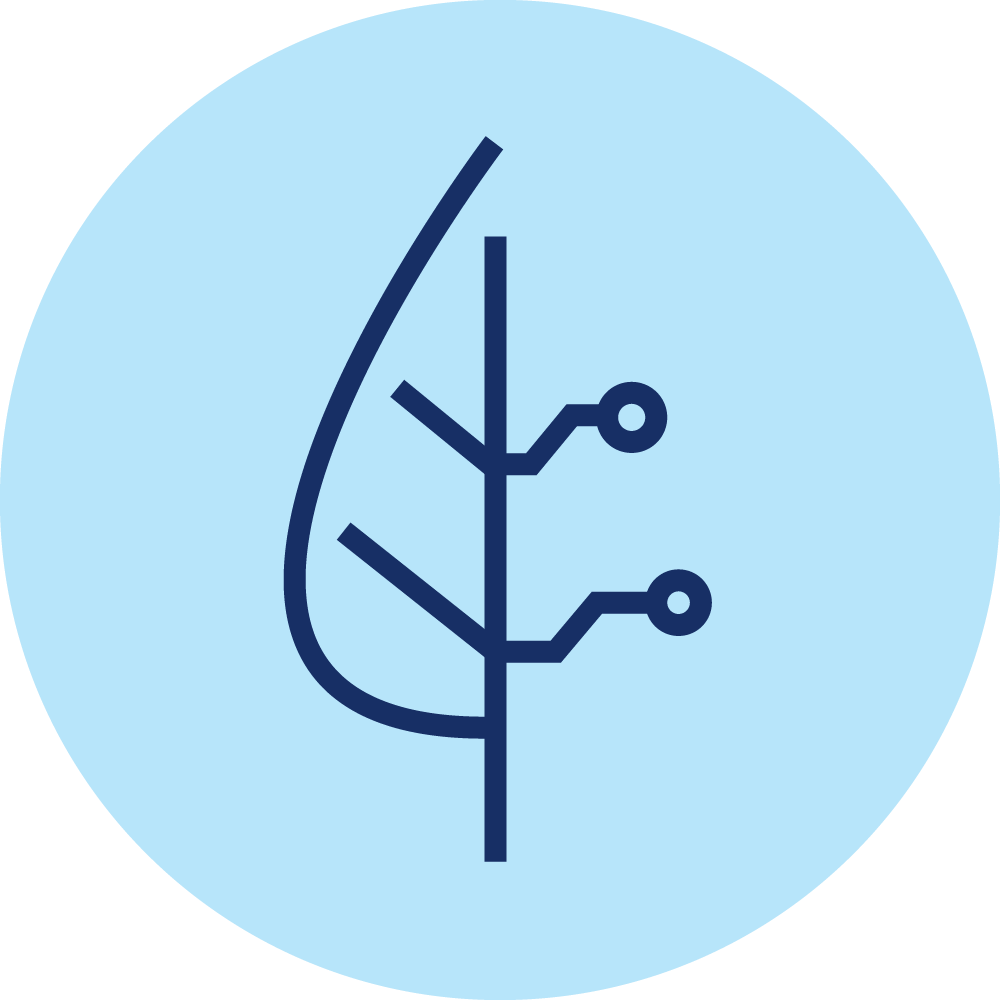 bioeconomy icon